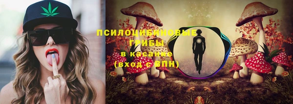 МДПВ Алзамай