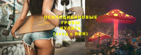 сатива Красноперекопск